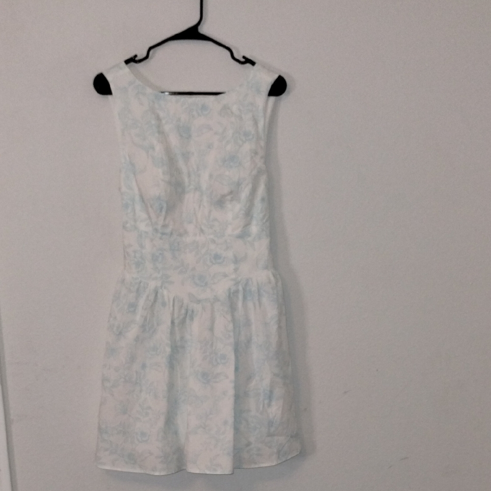 Wild Fable Sky Blue and White Floral Mini Dress